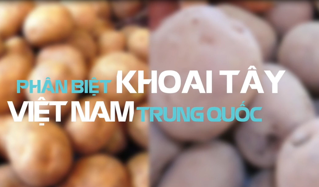 Hướng dẫn phân biệt khoai tây Đà Lạt và Trung Quốc
