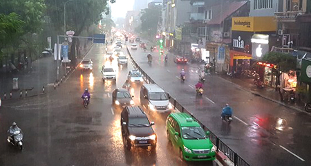 Mưa vàng giải nhiệt cho Hà Nội