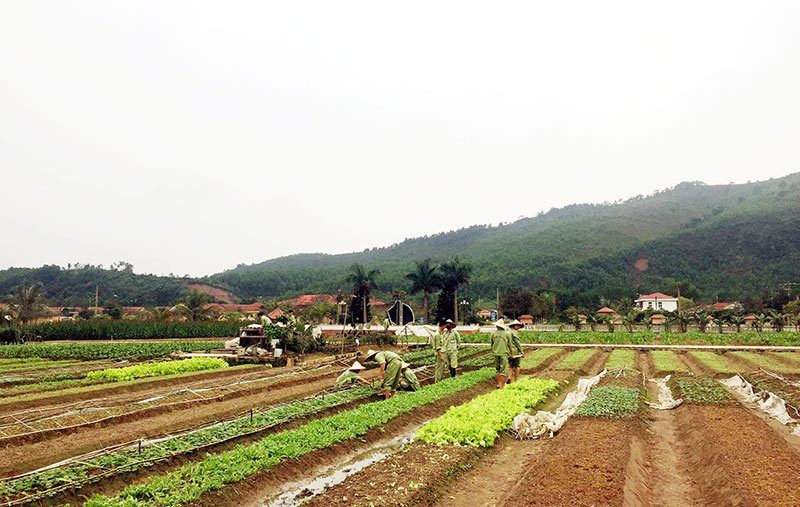 Dùng bóng đèn đâm bạn cải tạo tử vong
