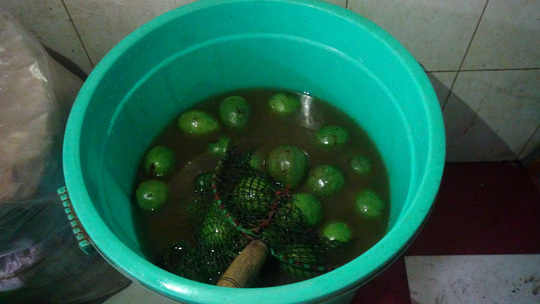 Bơ 'ngậm' đầy hóa chất để chín đều