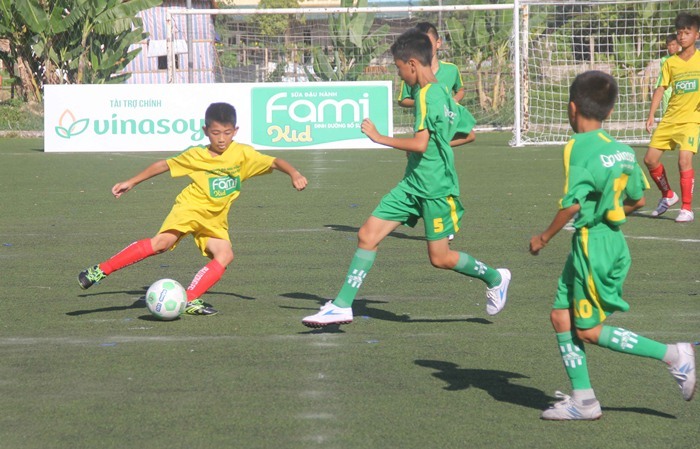 Kết thúc vòng loại bảng II Giải bóng đá Nhi đồng toàn quốc 2017