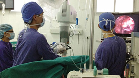 Bé 8 tuổi bị phì động mạch khổng lồ hiếm gặp