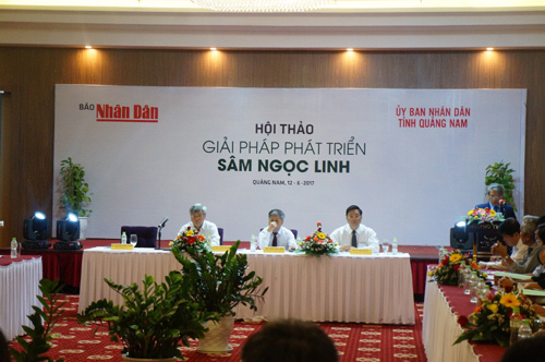 Phát triển sâm Ngọc Linh xứng tầm ‘Quốc bảo’ ngành dược liệu