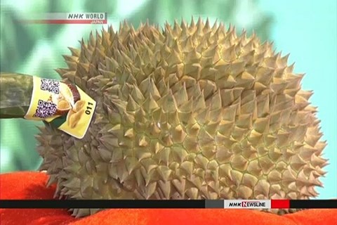 Bất ngờ với quả sầu riêng 'vua' có giá gần 200 triệu