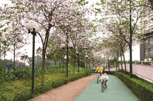 Ciputra, thương hiệu bất động sản đẳng cấp vững bền