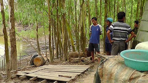 Cụ ông miền Tây nghi tự tử trước mộ vợ mới mất