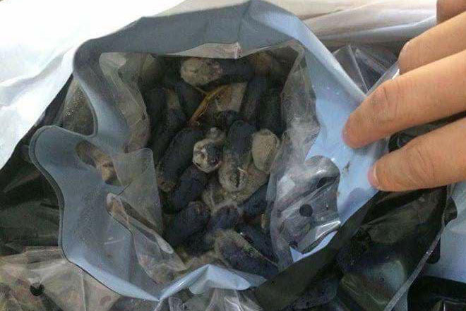 Sự thật trái cây 'sốc nhiệt' bán rẻ trên mạng