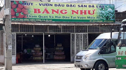 Chủ quầy “đặc sản Đà Lạt” đánh du khách bị phạt