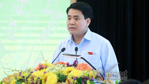 Di dời 1 cây xà cừ mất chục triệu, chưa biết trồng vào đâu