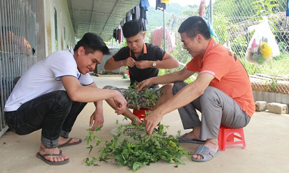 Thầy giáo lo cho thí sinh 