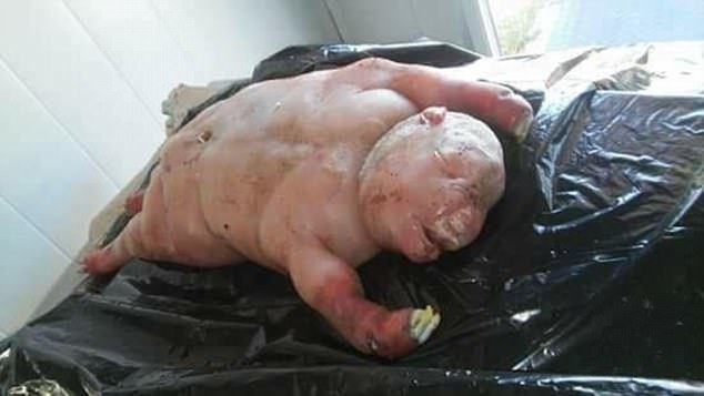 Cừu đẻ quái vật 'nửa người nửa thú' gây hoang mang