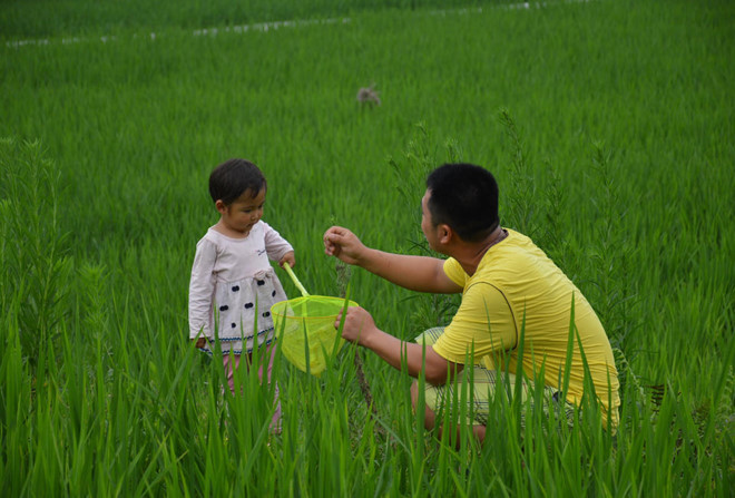 Cha đào huyệt cho con gái ốm nặng nằm xuống dần thích nghi