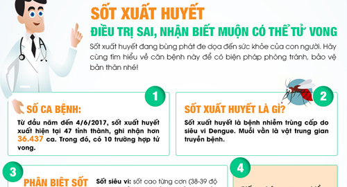 Sốt xuất huyết: Điều trị sai, nhận biết muộn rất nguy hiểm