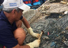 Nghề 'lạ' trên đảo Nam Du thơ mộng: Oằn mình kiếm 80 nghìn qua ngày