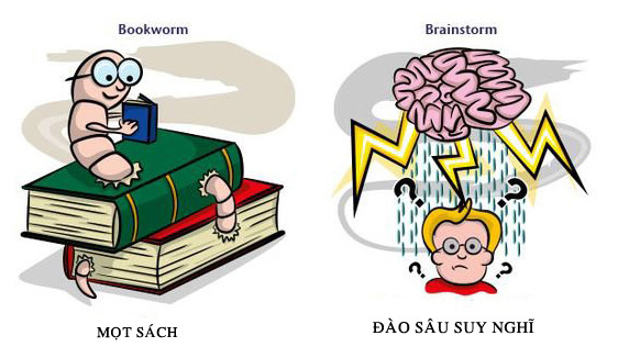 "Hit the books" là gì? - Vietnamnet