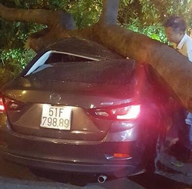 Cây xanh bật gốc giữa khuya đè nát ô tô ở Sài Gòn