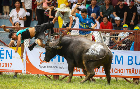 Lễ hội chọi trâu: Di sản thiếu an toàn