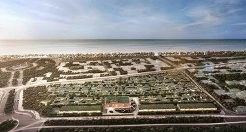 Lựa chọn đúng hướng của nhà đầu tư giá trị