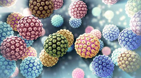 Virut Human Pappiloma (HPV) - tác nhân chủ yếu của ung thư cổ tử cung