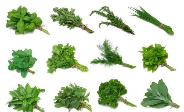 Tên tiếng Anh của