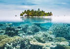 10 hòn đảo tuyệt nhất thế giới để bơi và lặn biển