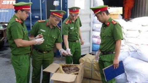 Phát hiện 600kg vẩy tê tê trong container chở nụ hoa hồng