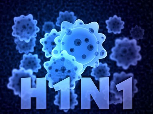 Cúm A H1N1 là gì?