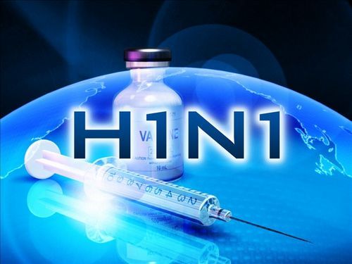 Cách xử lý ổ dịch cúm A H1N1 lây từ lợn sang người