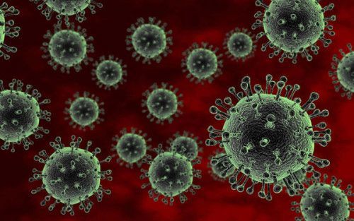 Cúm A H5N1 là gì?