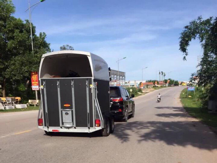 Đại gia Quảng Ninh dùng Lexus LX570 kéo xe chở ngựa quý