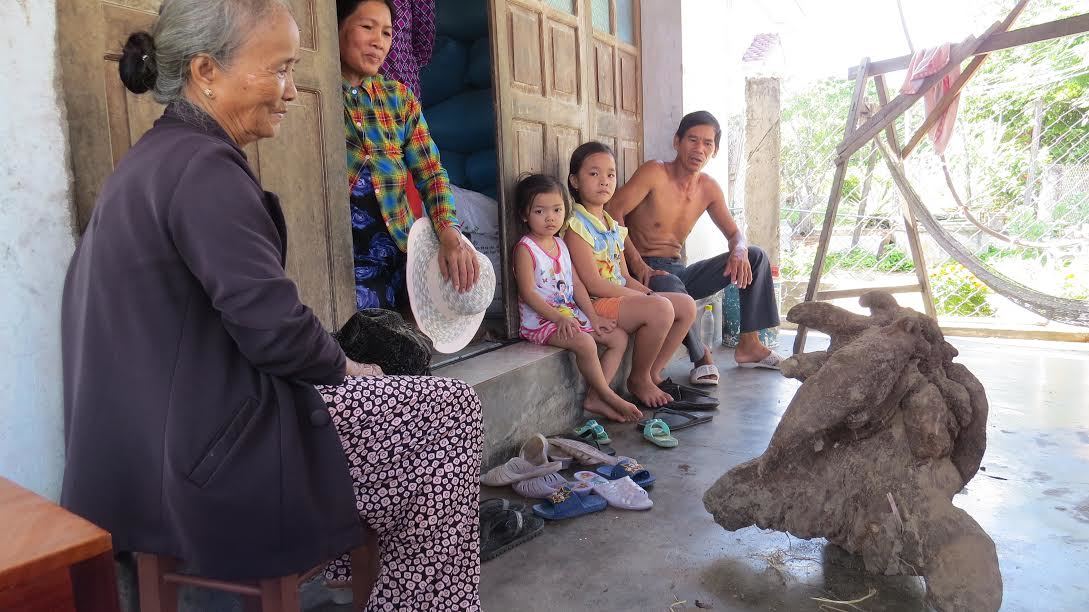 Củ khoai mài hình thù lạ được trả giá nửa triệu