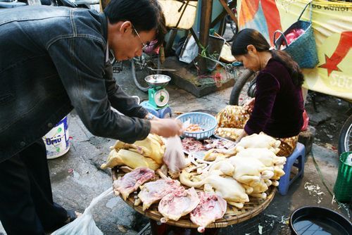 Các con đường lây truyền Cúm A H5N1