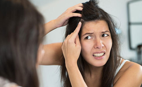 5 nguy hại khôn lường từ việc nhổ tóc bạc