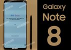 S8 thành công dưới kỳ vọng, Samsung sớm ra mắt Note 8