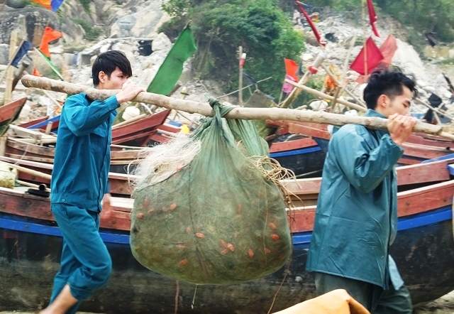 Bão số 2: Có người chết, Chủ tịch huyện phải chịu trách nhiệm