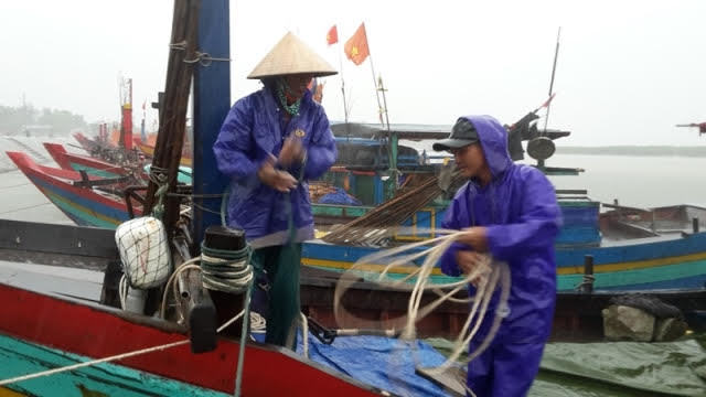 Bão số 2 giật cấp 11 đổ bộ Thanh Hóa - Hà Tĩnh