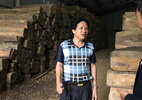 Chính phủ giao Bộ NN-PTNT trả lời kiến nghị 'giải cứu' gỗ Hà Tĩnh
