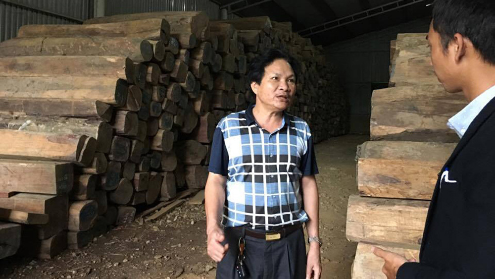 Chính phủ giao Bộ NN-PTNT trả lời kiến nghị 'giải cứu' gỗ Hà Tĩnh