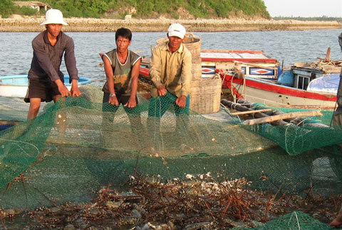 Kiến nghị khẩn cấp Chính phủ cho dừng nhận chìm bùn thải