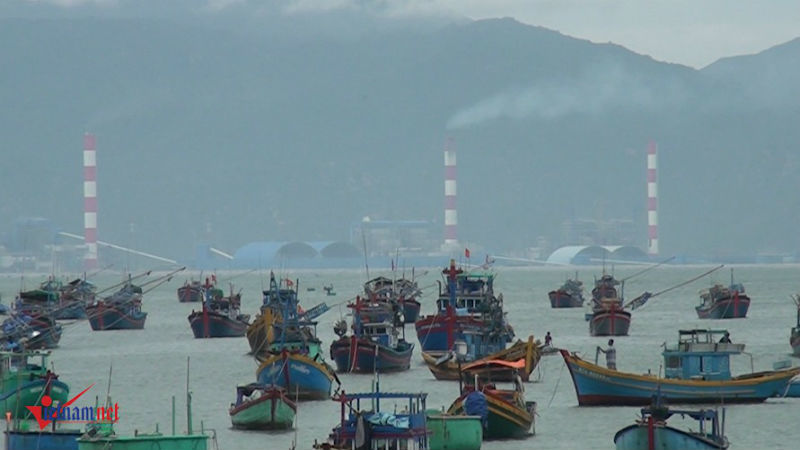 Đổ bùn xuống biển Bình Thuận: Bộ Công Thương tạm đình chỉ 1 cán bộ