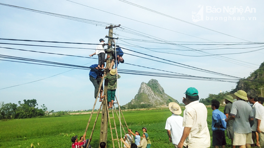 Phó giám đốc hợp tác xã bị điện giật tử vong