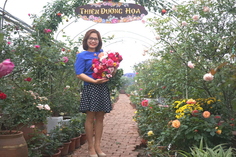 Chồng bỏ lương 100 triệu cùng vợ trồng 100 ngàn cây hoa hồng