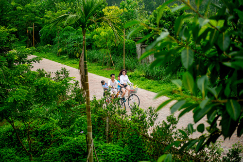 Làng Bắc Bộ 5 sao tuyệt đẹp ở Ninh Bình