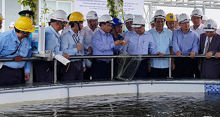 Thủ tướng chứng kiến cá sống ở hồ nước thải Formosa