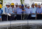 Thủ tướng chứng kiến cá sống ở hồ nước thải Formosa