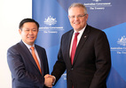 Phó Thủ tướng làm việc với Bộ trưởng Ngân khố Australia