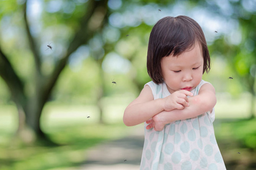 Tháng 7, bệnh viêm não Nhật Bản hoành hành