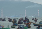 Vụ nhận chìm bùn thải ở Bình Thuận: Rà soát lại báo cáo môi trường