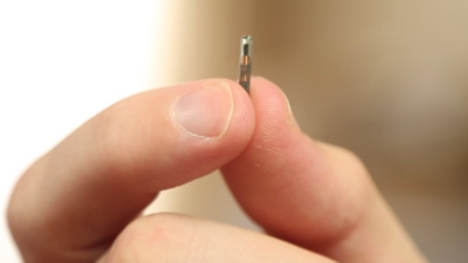 Công ty Mỹ cấy chip vào nhân viên