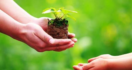 Luật nhân quả là có thật
